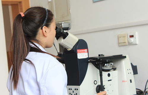 研究開發與技術咨詢 協同驅動創新與商業價值